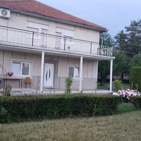 Zgona Daire