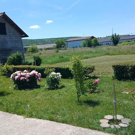 Zgona Daire