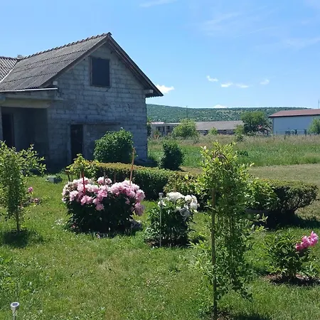 Zgona * Livno